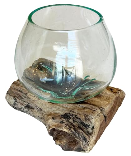 Small Hand-Blown Melted Glass Fish Bowl Vase Terrarium on Driftwood Base – Decorative Centerpiece Full or Empty