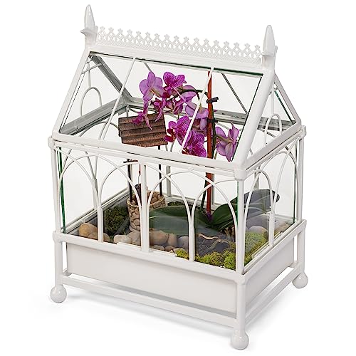 H Potter Glass Terrarium Succulent Planter Wardian Case Plant Container Metal Tabletop Off White