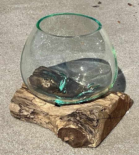 Small Hand-Blown Melted Glass Fish Bowl Vase Terrarium on Driftwood Base – Decorative Centerpiece Full or Empty
