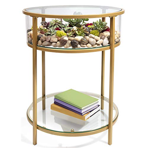 Round Terrarium Display End Table with Reinforced Glass in Gold Iron- 20" Diameter, 26.5" Height
