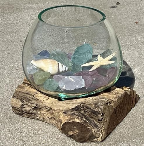 Small Hand-Blown Melted Glass Fish Bowl Vase Terrarium on Driftwood Base – Decorative Centerpiece Full or Empty