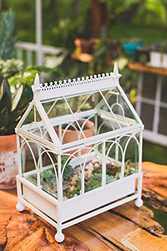 H Potter Glass Terrarium Succulent Planter Wardian Case Plant Container Metal Tabletop Off White