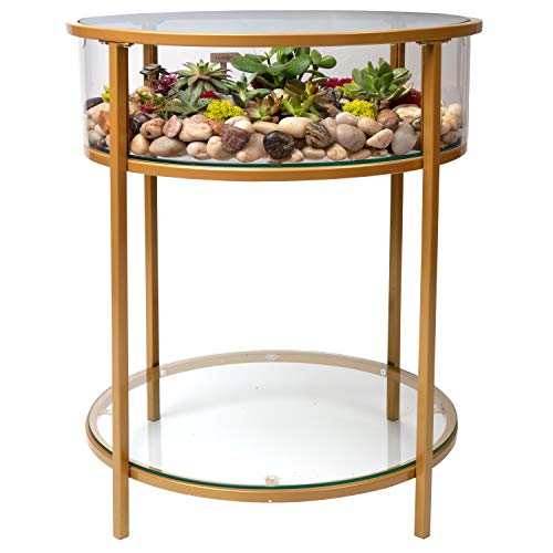Round Terrarium Display End Table with Reinforced Glass in Gold Iron- 20" Diameter, 26.5" Height