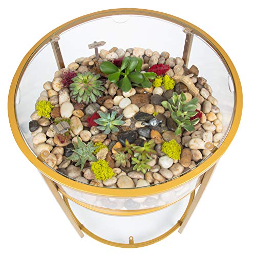 Round Terrarium Display End Table with Reinforced Glass in Gold Iron- 20" Diameter, 26.5" Height