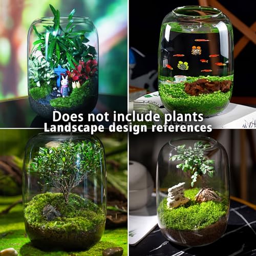 SARUFO Glass Plant Terrarium 6.3"X8.6" Inches Succulent Air Planter Fern Moss Micro-Landscape Vase for Home Garden Office Tabletop Decoration Container with Lid Indoor Wardian Copyright Patent