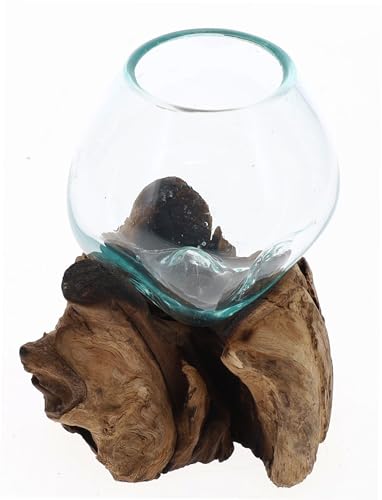 Small Hand-Blown Melted Glass Fish Bowl Vase Terrarium on Driftwood Base – Decorative Centerpiece Full or Empty