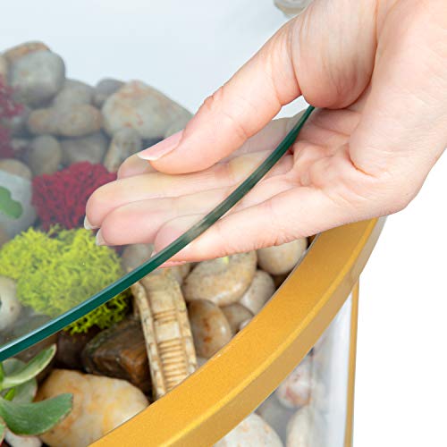 Round Terrarium Display End Table with Reinforced Glass in Gold Iron- 20" Diameter, 26.5" Height