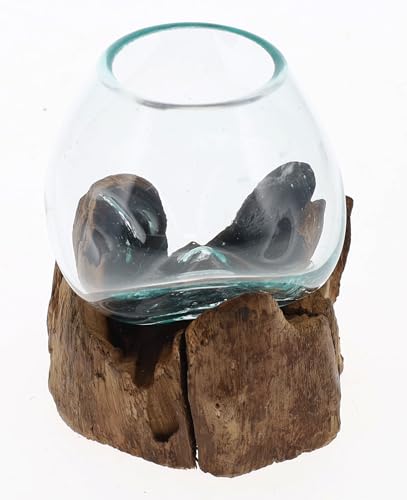 Small Hand-Blown Melted Glass Fish Bowl Vase Terrarium on Driftwood Base – Decorative Centerpiece Full or Empty