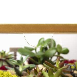 Round Terrarium Display End Table with Reinforced Glass in Gold Iron- 20" Diameter, 26.5" Height