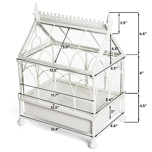 H Potter Glass Terrarium Succulent Planter Wardian Case Plant Container Metal Tabletop Off White
