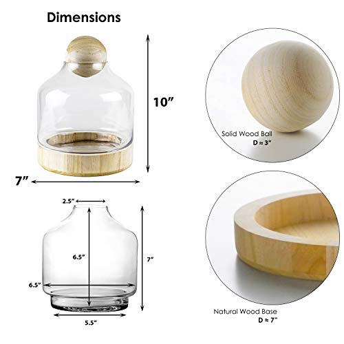 CYS EXCEL Glass Terrarium Container (H:10" W:7") | Multiple Size Choices Planter Jars with Wood Base & Lid | Plant Terrarium Bowl Vase