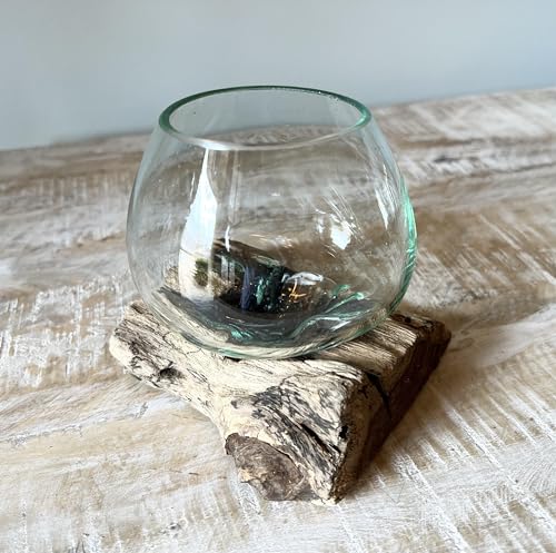 Small Hand-Blown Melted Glass Fish Bowl Vase Terrarium on Driftwood Base – Decorative Centerpiece Full or Empty