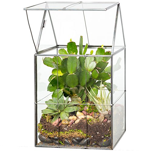 Deco Glass Geometric DIY Terrarium for Succulent & Air Plant- Hinged Roof Shaped for Indoor Gardening Decor- Create your own Flower, Fern, Moss Centerpiece (Large 5"x6"x11") - Holiday and Wedding Gift