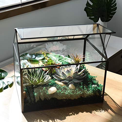 Large Glass Plant Terrarium – House Succulent Glass Terrarium Kit with Lip Glass Greenhouse Terrarium for Plant (Black 1)