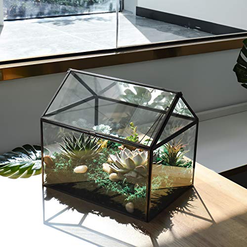 Large Glass Plant Terrarium – House Succulent Glass Terrarium Kit with Lip Glass Greenhouse Terrarium for Plant (Black 1)