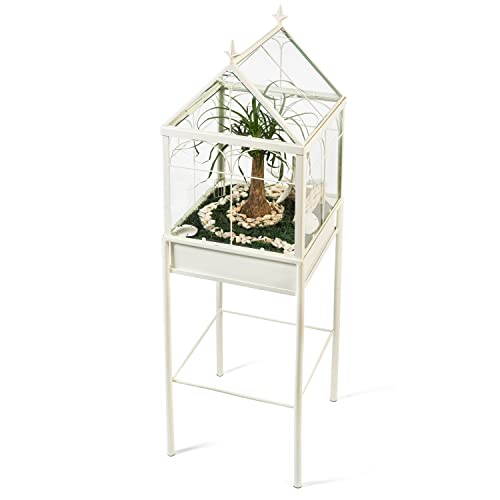H Potter Planter Terrarium Freestanding Wardian Case (Medium)
