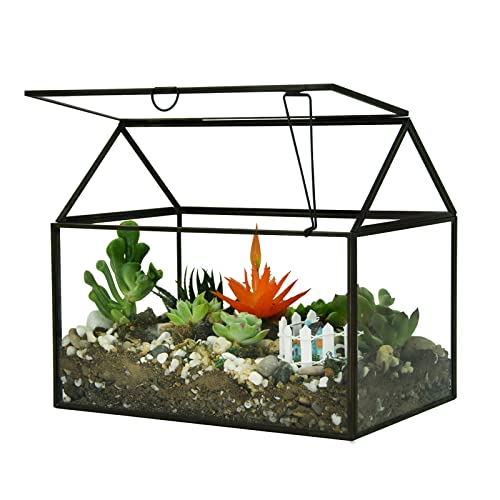 Large Glass Plant Terrarium – House Succulent Glass Terrarium Kit with Lip Glass Greenhouse Terrarium for Plant (Black 1)