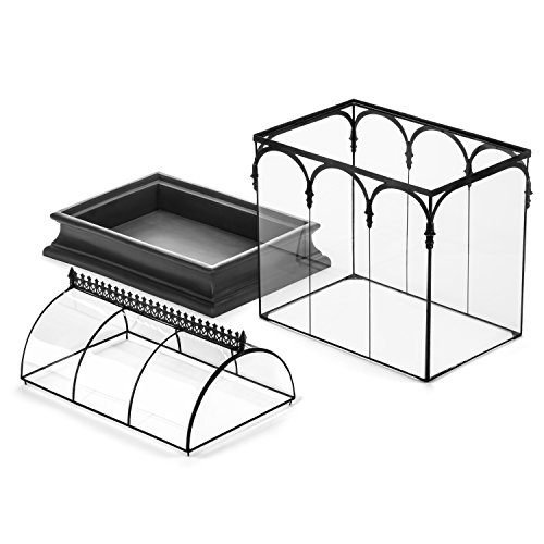 Terrarium Large Glass Succulent Planter Wardian Case Container for Plants from H Potter WAR150