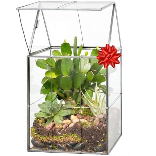 Deco Glass Geometric DIY Terrarium for Succulent & Air Plant- Hinged Roof Shaped for Indoor Gardening Decor- Create your own Flower, Fern, Moss Centerpiece (Large 5"x6"x11") - Holiday and Wedding Gift