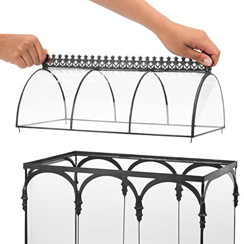 Terrarium Large Glass Succulent Planter Wardian Case Container for Plants from H Potter WAR150