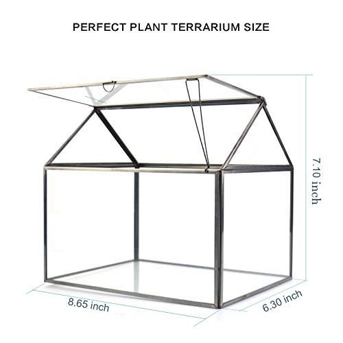 Large Glass Plant Terrarium – House Succulent Glass Terrarium Kit with Lip Glass Greenhouse Terrarium for Plant (Black 1)