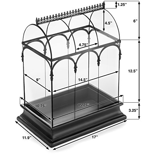Terrarium Large Glass Succulent Planter Wardian Case Container for Plants from H Potter WAR150