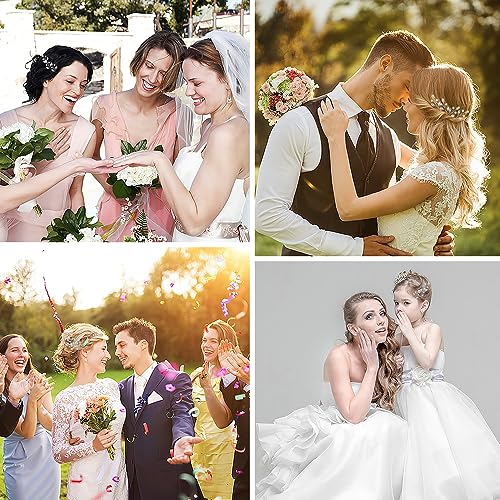 Silver Bride Hair Clips Wedding Barrettes Bridal Accessories