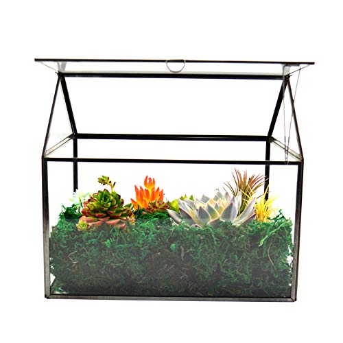 Large Glass Plant Terrarium – House Succulent Glass Terrarium Kit with Lip Glass Greenhouse Terrarium for Plant (Black 1)