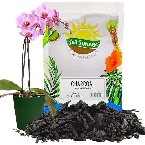 Horticultural Charcoal for Indoor Plants (1 Quart), Hardwood Soil Additive for Orchids, Terrariums, and Gardening