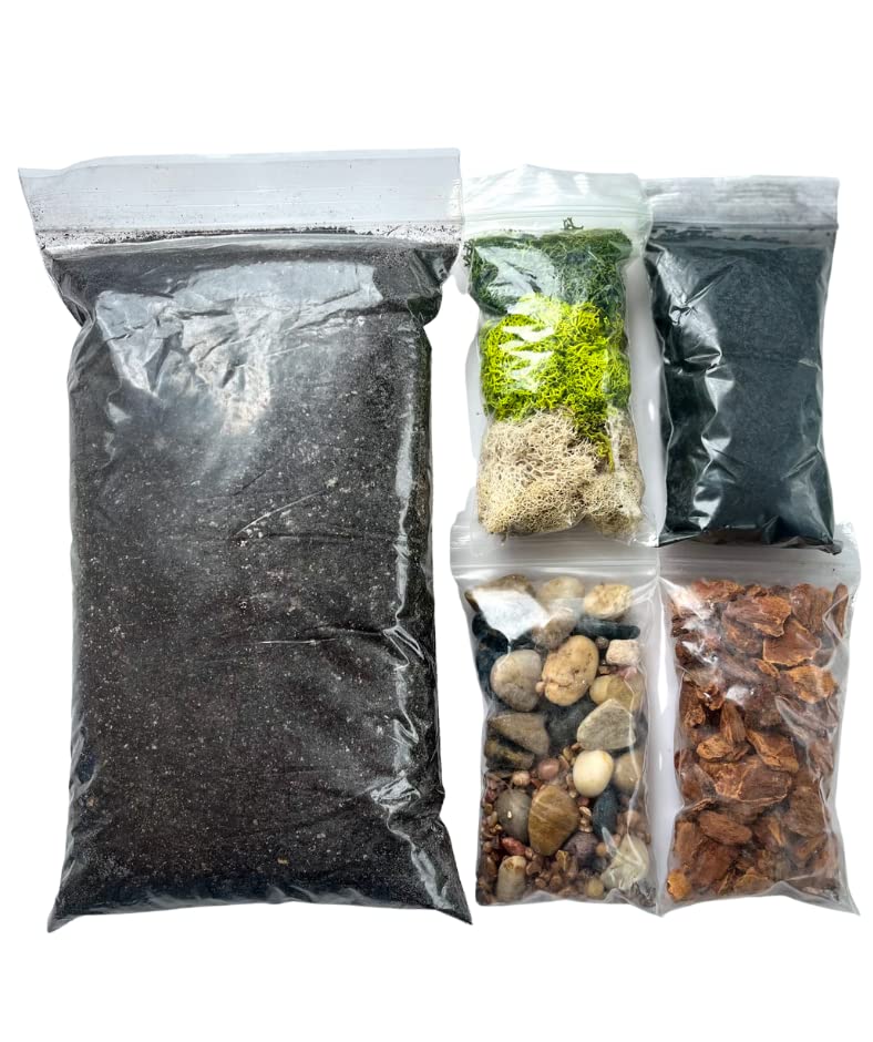 Succulent Cactus DIY Terrarium Kit - Great for Large Terrariums, Planters and Fairy Gardens