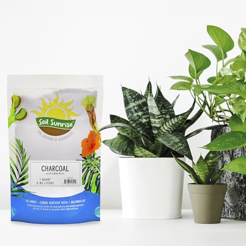 Horticultural Charcoal for Indoor Plants (1 Quart), Hardwood Soil Additive for Orchids, Terrariums, and Gardening