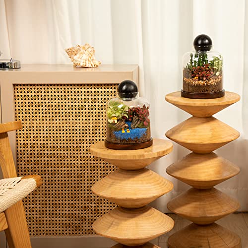 Yangbaga Large Glass Terrarium Succulent Plant Terrarium House for Plant/Moss Ball/Glass Fish Tank Mini Table with Wood Base & Ball lid Office Home Decoration