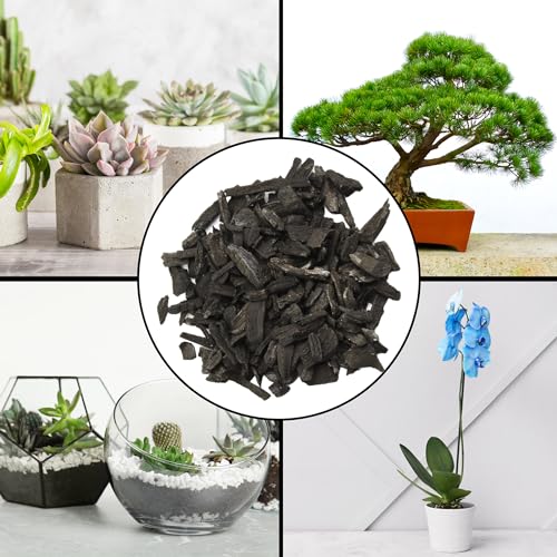 Horticultural Charcoal for Indoor Plants (1 Quart), Hardwood Soil Additive for Orchids, Terrariums, and Gardening