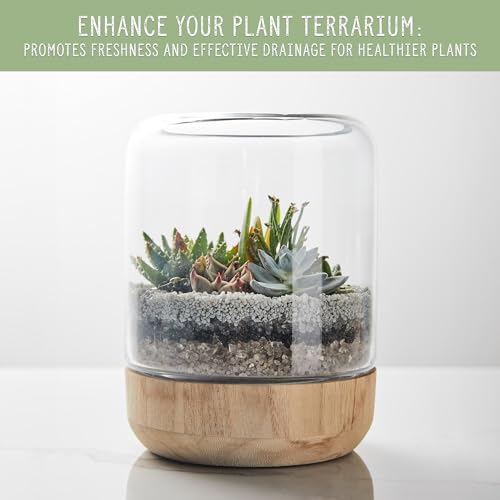 Horticultural Charcoal for Indoor Plants (1 Quart), Hardwood Soil Additive for Orchids, Terrariums, and Gardening