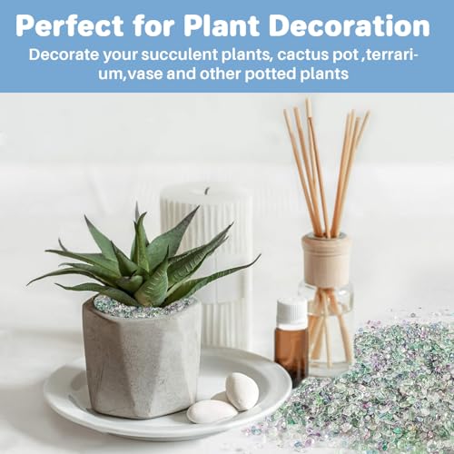 Sukh Fluorite Tumbled Crystal Chips - 0.9lb Fluorite Crushed Stone Fish Tank Rocks Gravel for Vase Fillers Decorative Fish Tank Fillers Succulent Plants Crystal Aquarium Decoration Terrarium Supplies