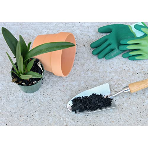 Horticultural Charcoal for Indoor Plants (1 Quart), Hardwood Soil Additive for Orchids, Terrariums, and Gardening