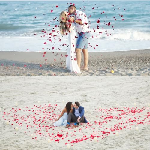 Artificial Lavender & Purple Rose Petals Wedding Decor - 1000pcs