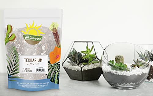 Terrarium Potting Soil Mix (4 Quarts), w/Blended Filtering Charcoal Custom Made for Terrariums