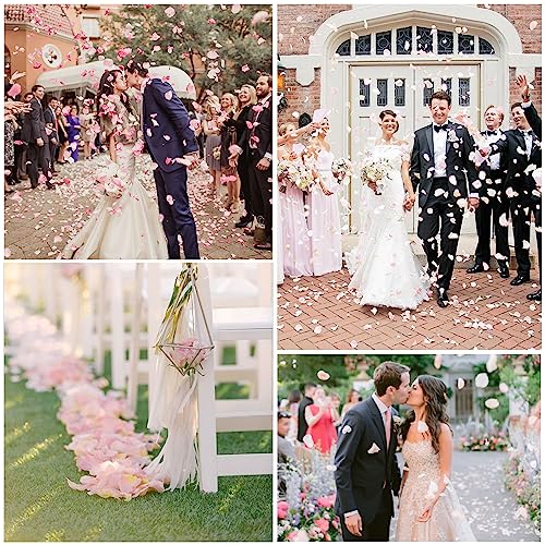 1000 White Rose Petals for Romantic Wedding Decor