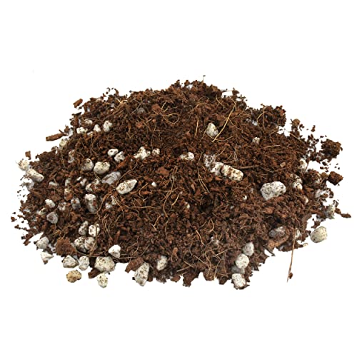 Terrarium Potting Soil Mix (4 Quarts), w/Blended Filtering Charcoal Custom Made for Terrariums