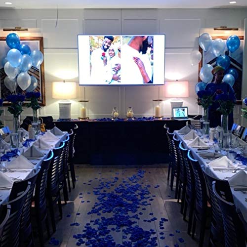 Sapphire Blue Silk Rose Petals Set for Weddings