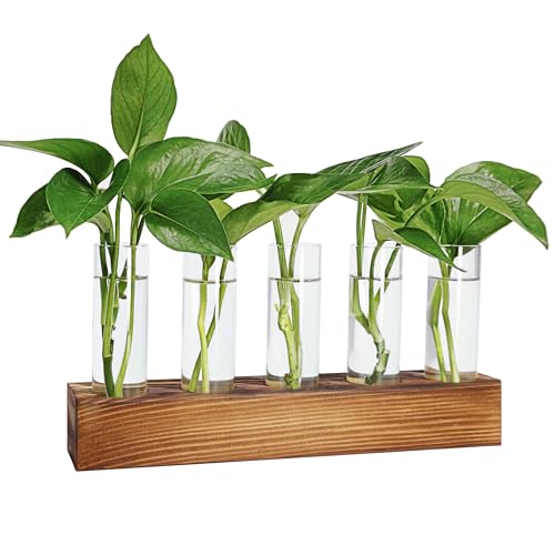 Renmxj Plant Propagation Station, Plant Terrarium with Wooden Stand for Hydroponics Plants Office Decor Unique Gardening Birthday Gifts for Women Plant Lovers - 5 Glass Test Tube Vases