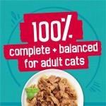 Purina Friskies Tasty Treasures Wet Cat Food