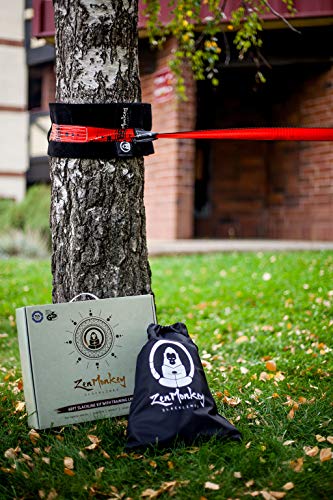 ZenMonkey Slackline Kit with Training Line, Arm Trainer