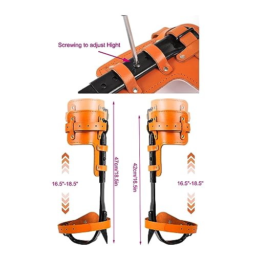 Rohseson Tree Climbing Spikes, Steel Forged, Adjustable Height