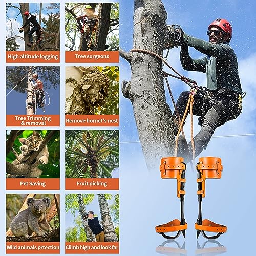 Rohseson Tree Climbing Spikes, Steel Forged, Adjustable Height