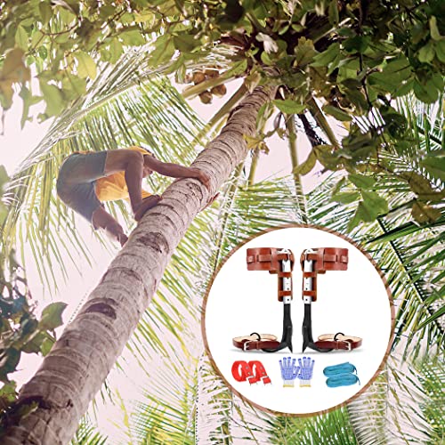 304 Stainless Steel Adjustable Climbing Spurs for Tree Climbing