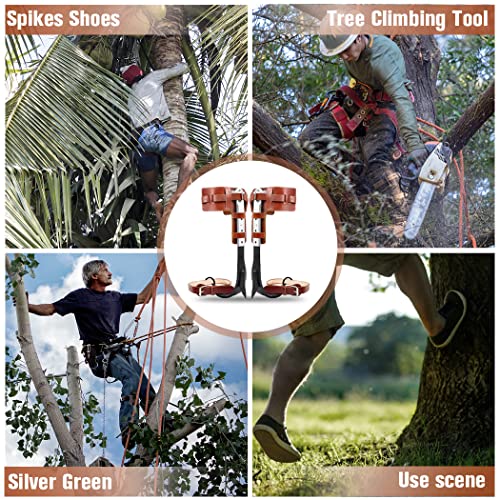 304 Stainless Steel Adjustable Climbing Spurs for Tree Climbing
