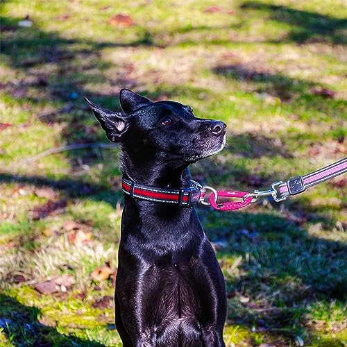 Twistlock Carabiner Clips for Pets, Outdoor, Hiking