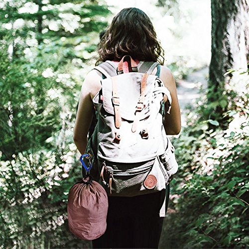 L-Rover Carabiner: Lightweight, Heavy Duty for Climbing & Outdoor